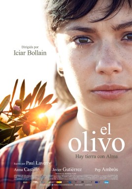 El olivo distrib web