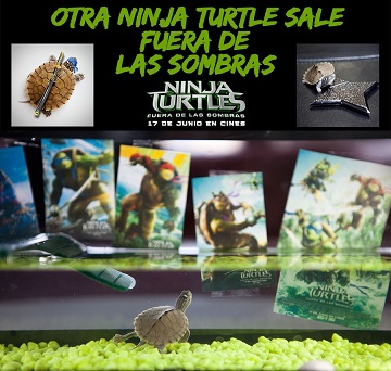 Tortu NINJA