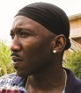 mahershala-ali-moonlight-web