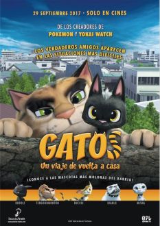 Gatos, un viaje de vuelta a casa