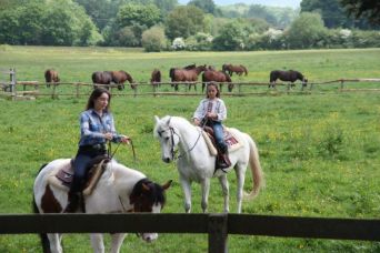 El hijo del acordeonista (2)