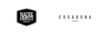 Nadie es perfecto y cosabona films -banner-