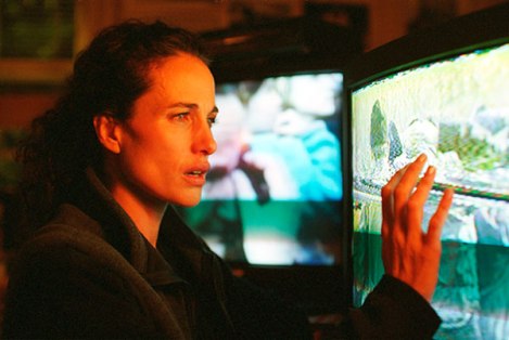 Las flores de Harrison